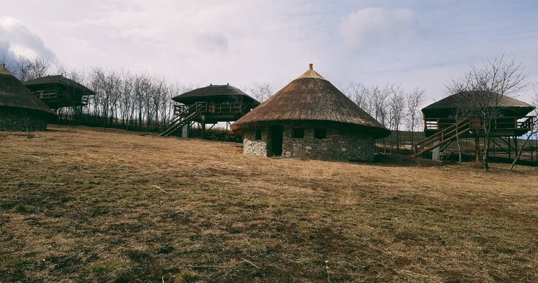 Pe drumul vinului spre Ferma Dacilor