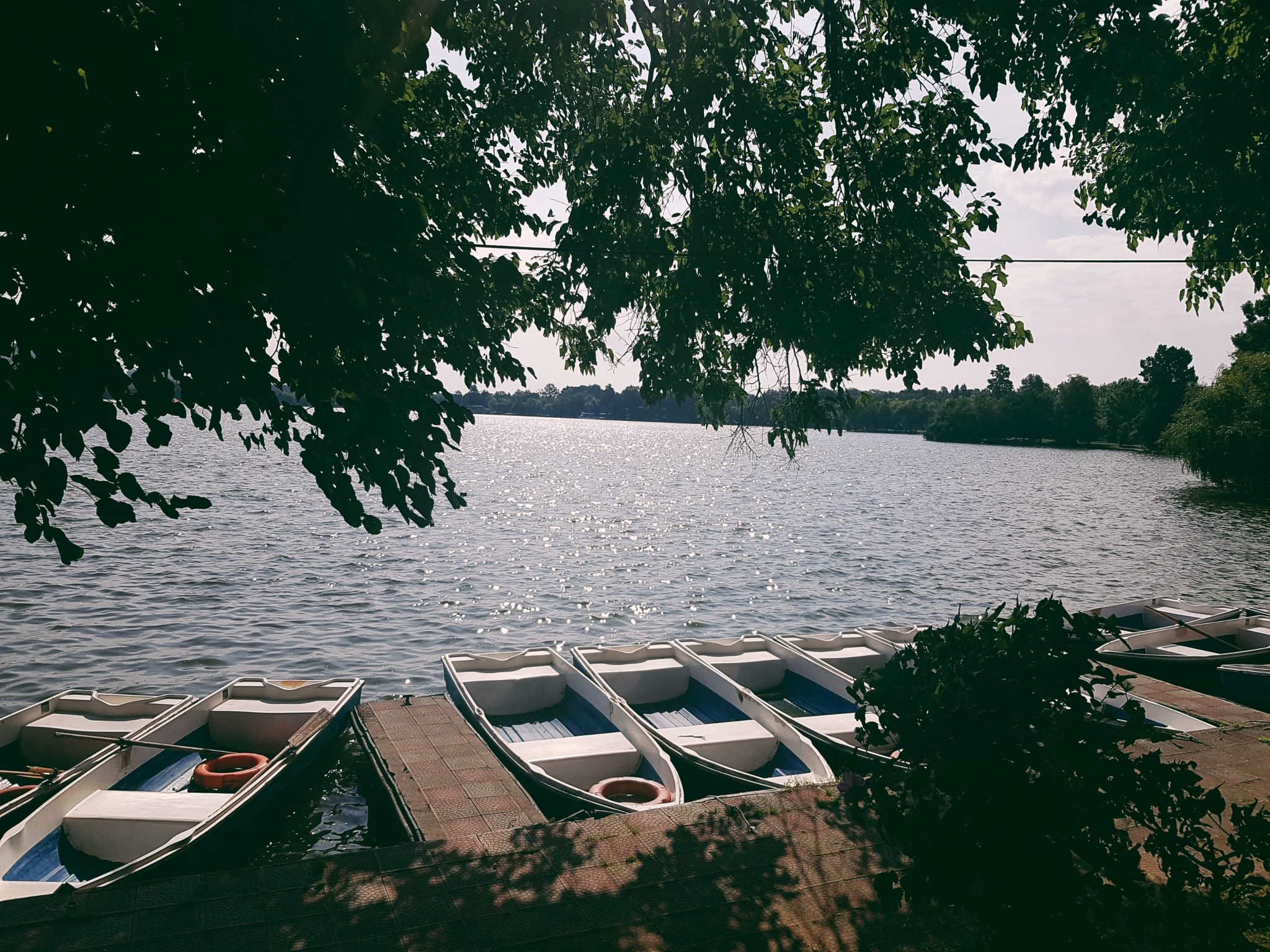 O fuga pana la Festivalul Turcesc