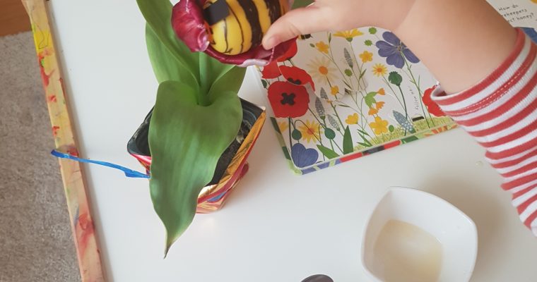 Zile dulci ca mierea ( II)