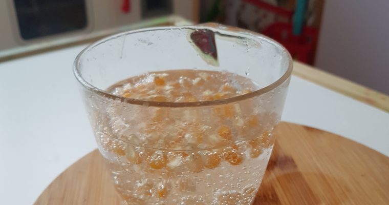 Experimentul de duminica : boabe de porumb dansatoare