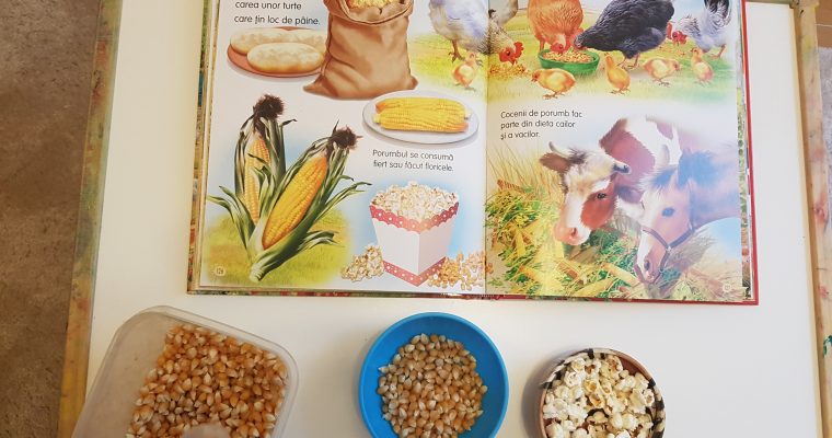 O vizita la ferma de la tara